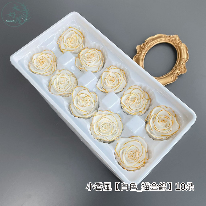 大好屋 永生玫瑰花 10朵 白色描金線 A級品, ★冠軍★玫瑰小香風【白_描金線】10朵