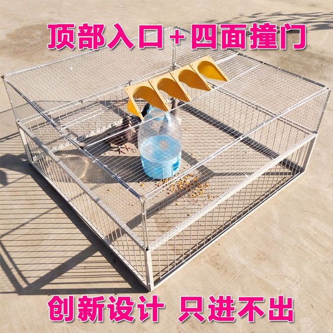 새장트랩 비둘기 80 야외 농작물 유해조류 비둘기퇴치망 설치형 사냥 퇴치 비둘기덫 포획기, 일반 구식 4면 도어가드 플라스틱 수입 1Mx1M, 1개