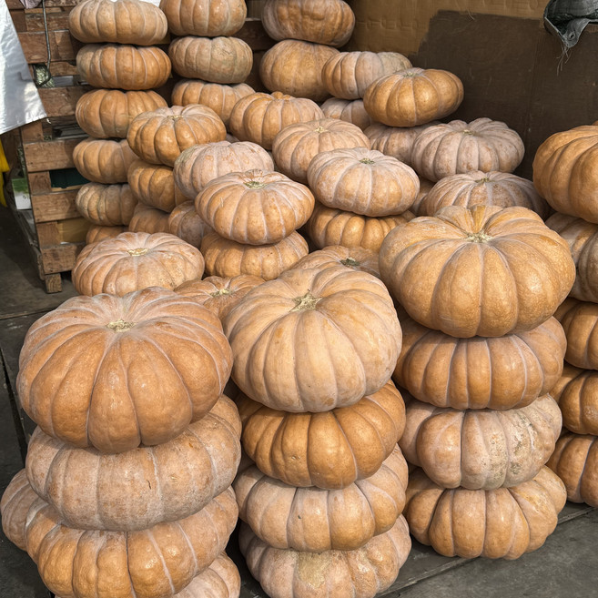 [신선보장] 농진사 국내산 늙은호박 특품 맷돌호박, 1개, 소 2~3kg