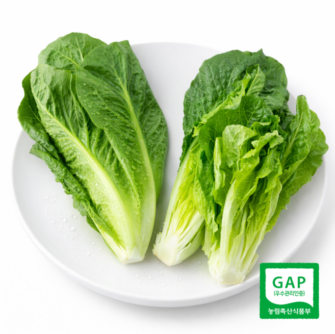 테이블센스 국내산 로메인 상추 통로메인 가락시장 당일경매, 1개, 500g