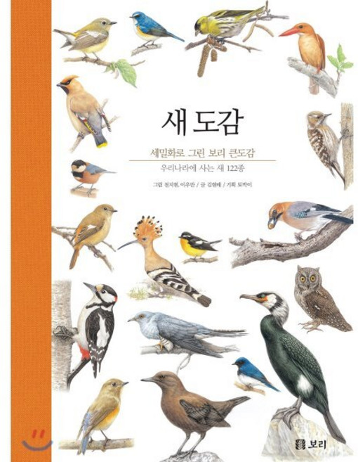 새 도감 (큰 도감), 보리, 김현태