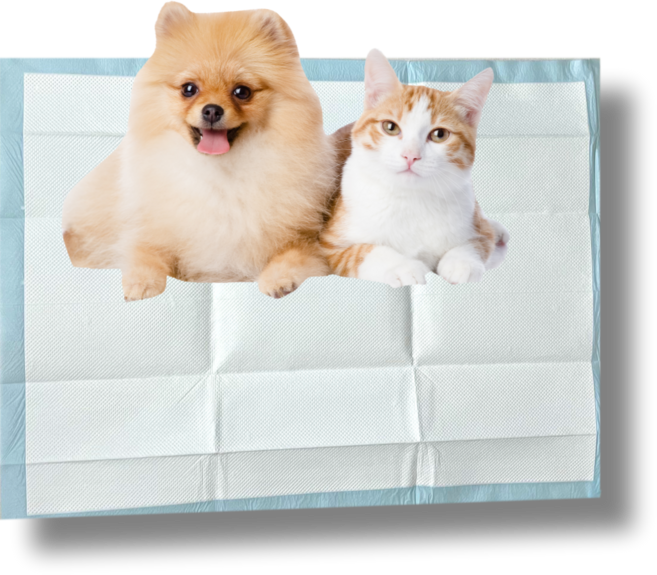 안심포인트 배변패드 애견 강아지 60x80 1팩10장, 1개, 10개입