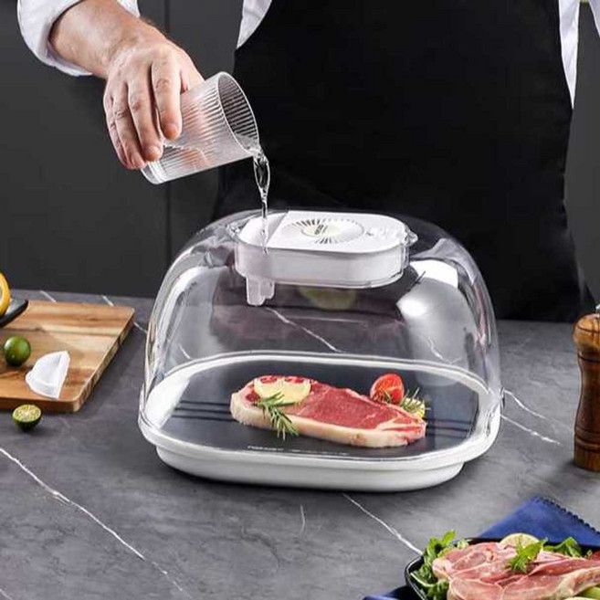 육류 급속 해동기 냉동식품 고기 녹이기 신선도 유지