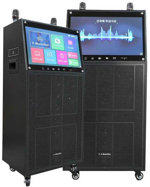 서영 AV-3000 충전식 휴대용 이동식 올인원노래방SET