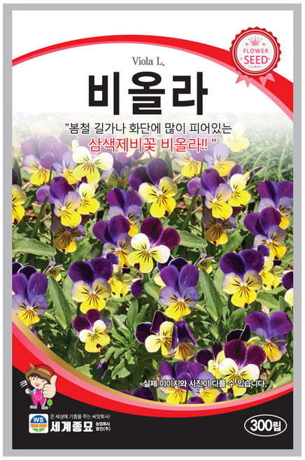 모칸도 비올라 씨앗 300립 세계종묘 꽃씨 꽃씨앗, 1개