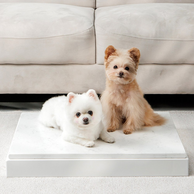 대리석아빠 반려동물 대리석 쿨매트, 랜덤 발송, 1개