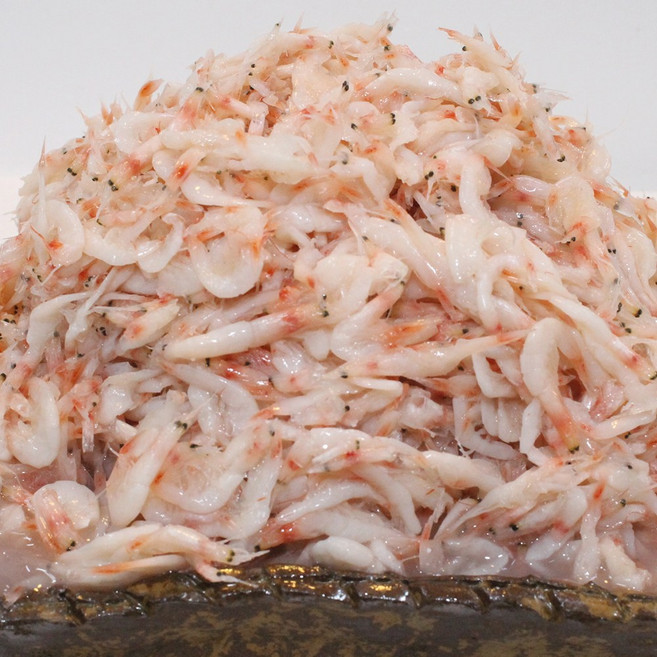 (광천산지직송 ) 새우젓 추젓 김장용 추천 100% 국산새우젓과 국산천일염으로 숙성 MSG 절대 무첨가 2kg ~5kg, 1개