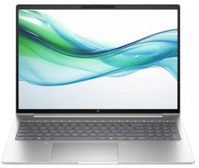 HP 엘리트북 665 G11 16 라이젠5 라이젠 7000 시리즈, 실버, 1TB, 16GB, WIN11 Pro, G11-A40HNPT