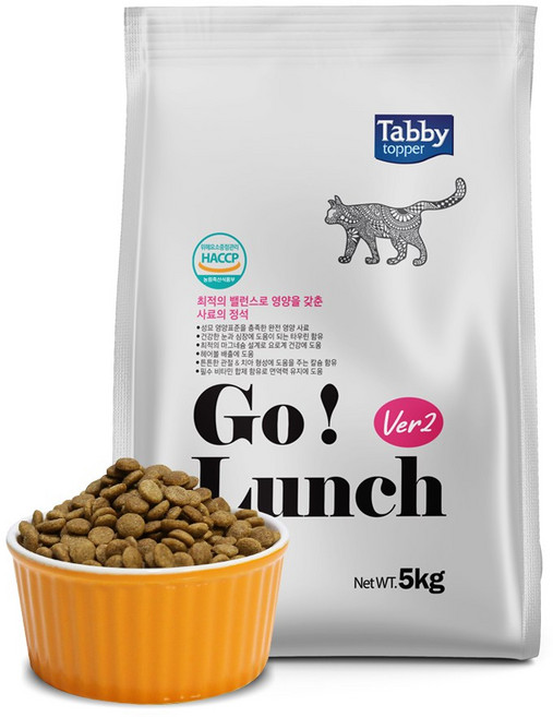 테비 고(Go)런치 고양이사료 5kg, 1개, 닭