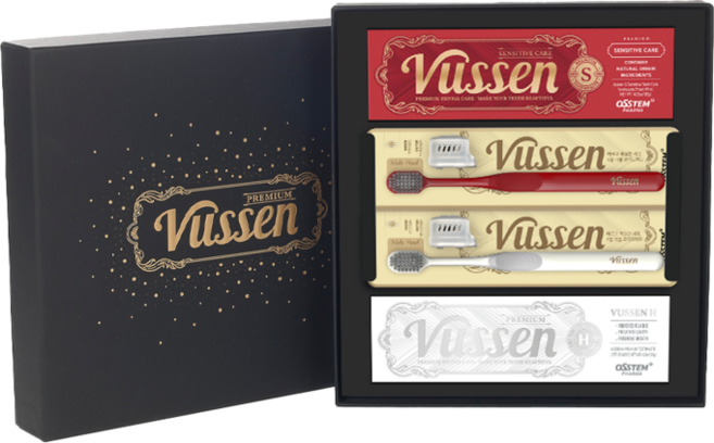 오스템 뷰센 치약 칫솔 2:2 선물 세트 (치약2 칫솔2 케이스 쇼핑백 포함 ), 1세트, 120ml