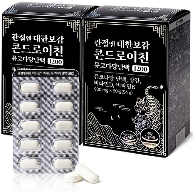 관절엔대한보감 콘드로이친 1200, 2박스, 60정