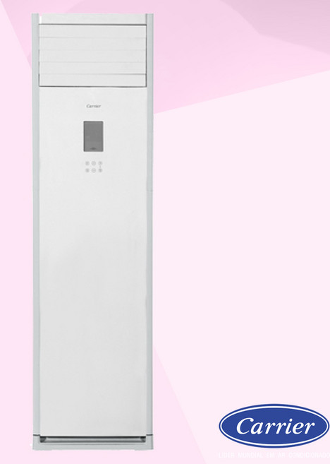 캐리어 스탠드냉난방기 인버터 냉온풍기 16평 18평 24평 25평 30평 40평 실외기포함 전국설치 기본설치별도, 30평단상 일반형 DAMQ-1101EAWSD, 일반배관형