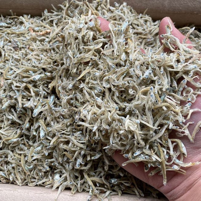 신건호멸치 볶음용 세멸치(실속형) / 잔멸치 볶음멸치 지리멸치, 1박스, 1.5kg