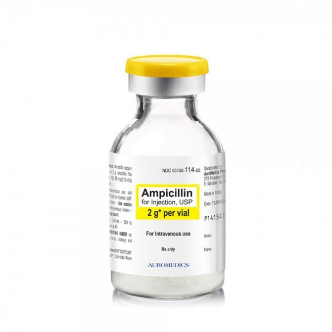 실험용 항생제 용액 - 카나마이신 125ml, 1개