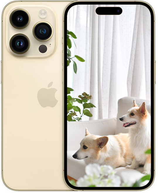 i/폰14 Pro 미개봉 새상품, 256GB, 골드 아이폰 14 Pro