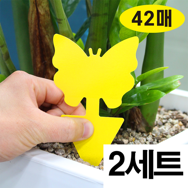 네코코리아 초강력 벌레퇴치트랩 해충 퇴치 나비 끈끈이 트랩, 2세트, 42개입