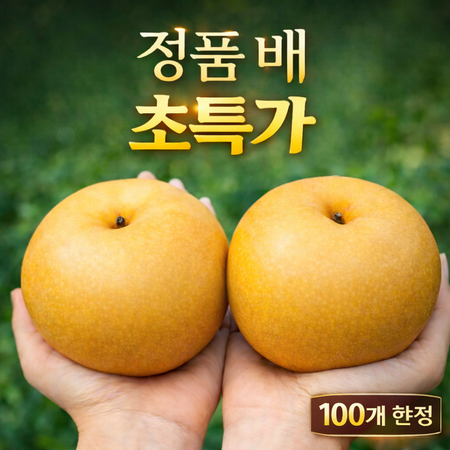 [100개 초특가] 나주배 신고배 고당도 햇배, 1박스, 신고배 (상) 5kg