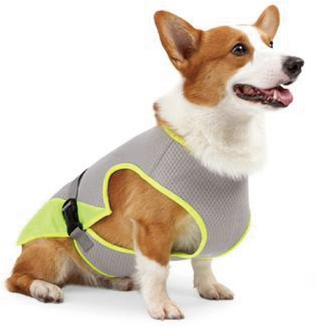 강아지 여름 쿨링 조끼 기능성 강아지옷 티셔츠 아이스 쿨티, 1개, 그레이 옐로우