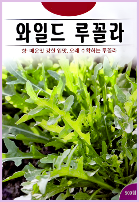 KS종묘 와일드 루꼴라 씨앗 500립 로켓샐러드 아루굴라 ks, 1개