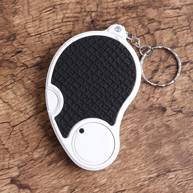 PLUS 열쇠고리LED확대경 노래방용 교재용돋보기확대경, 1개