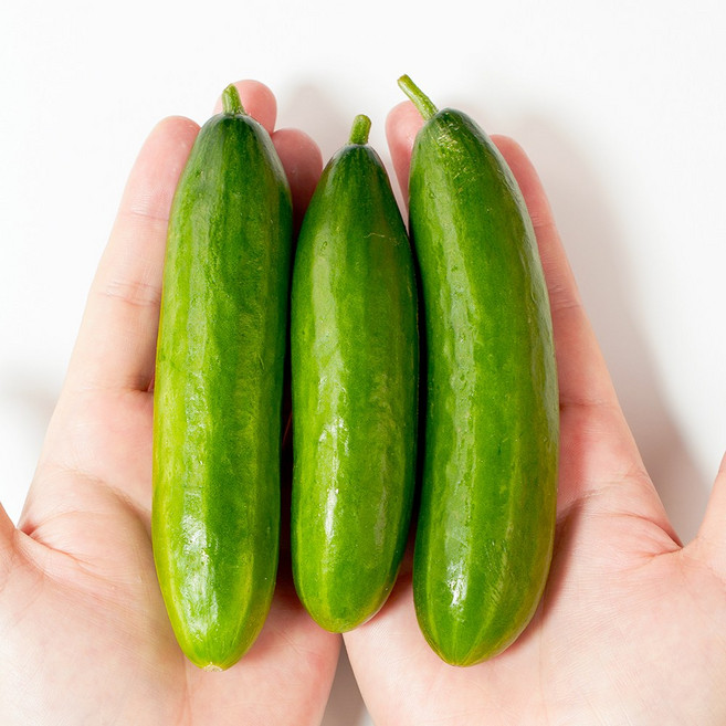 전라도청년 프레시 국산 햇 미니오이, 1개, 1kg