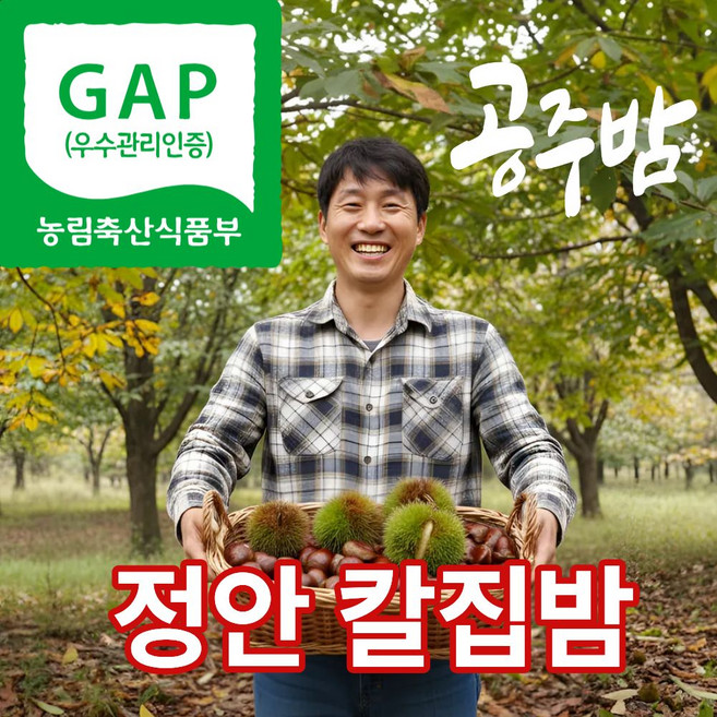 더맛곳간 국산 공주 정안 햇 생 밤 국내산 알밤 군밤용 칼집 대, 1개, 2kg