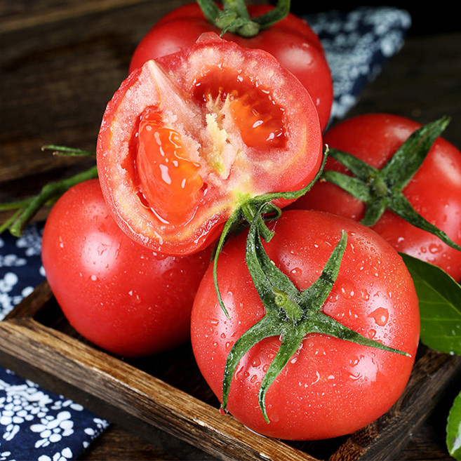 [초강력할인]청년농부 새콤폭발 정품 산지특선 완숙토마토, 1박스, 5kg
