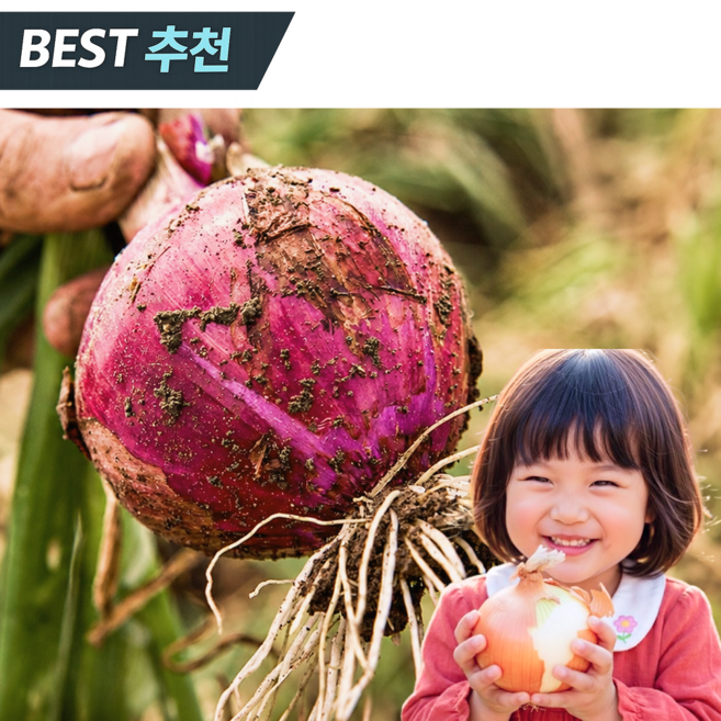 [품질보장] 무안 자색양파 적양파 최상품, 1박스, 3kg (중대혼합)