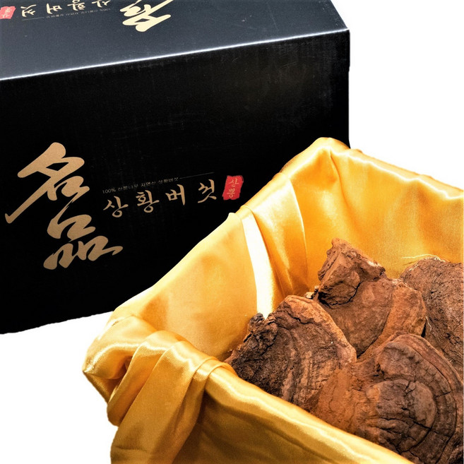 상황버섯 30년산 500g 자연산 절편발송 효도선물 고급포장, 1개