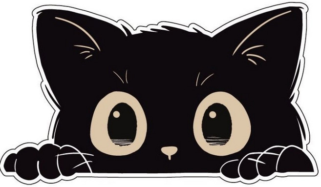 태쓰 자동차 스티커 흠집커버 스크래치 커버 차량 반창고 노트북스티커, 검은고양이2장, 1세트