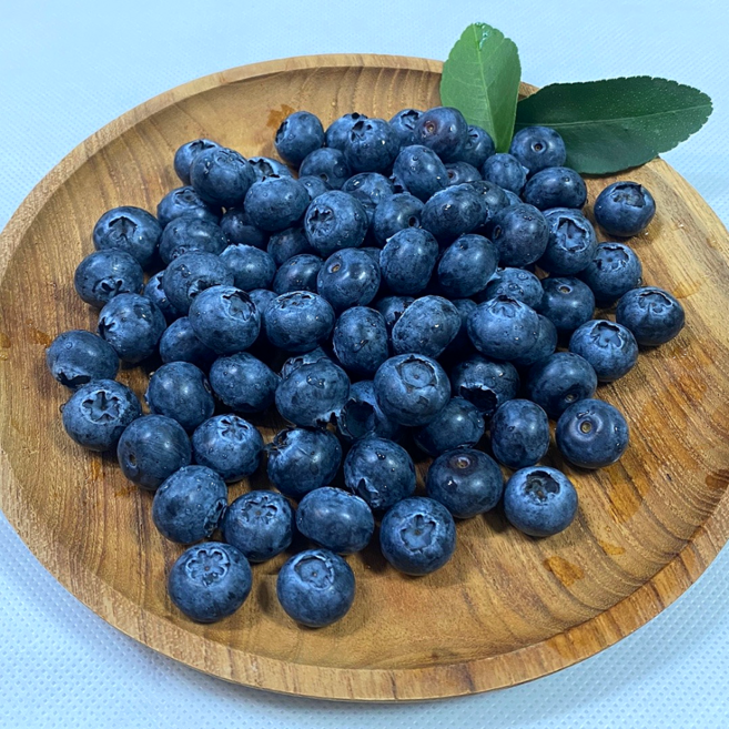 국산 산지직송 GAP 무농약 생 블루베리, 1개, 1kg(14~16mm)