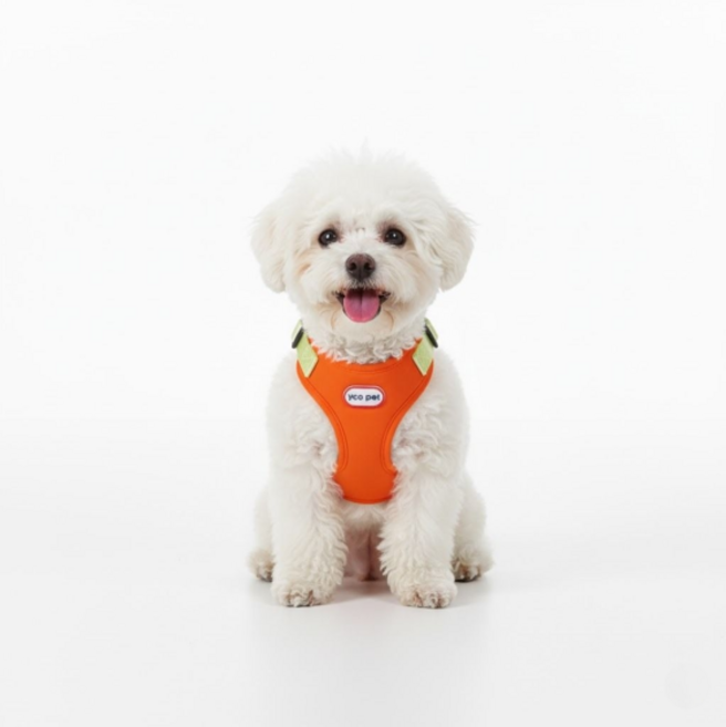 펫올웨이즈 강아지 하네스 투톤 리드줄 세트, 조절형 하네스, 오렌지
