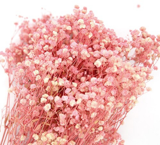 안개꽃 드라이플라워 핑크 한다발