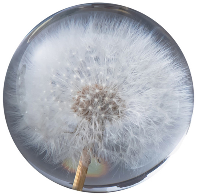 1PC 7/8/9cm 직경 민들레 크리스탈 공 크리스탈 유리 수지 렌즈 공 구 장식 홈 장식, [02] 8cm diameter, [02] With Gift Box