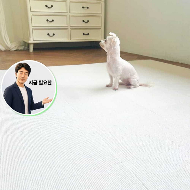 지금 필요한 펫매트 패드 카페트 강아지 미끄럼방지 논슬립 고양이 애견 반려견 1P 러그 매트 복도 거실 K31872EA, 아이보리 1P