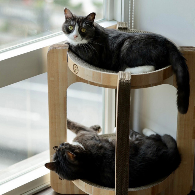 네코이찌 대형 침대 캣타워 고양이 원형 2단 스크래쳐, 라이트브라운, 1개