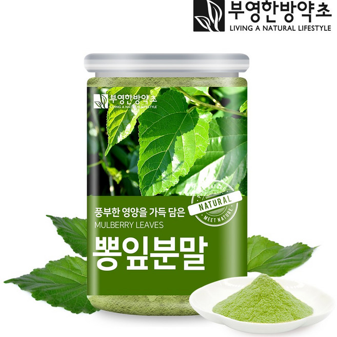 부영한방약초 국산 뽕잎가루 분말 상엽 200g, 1개
