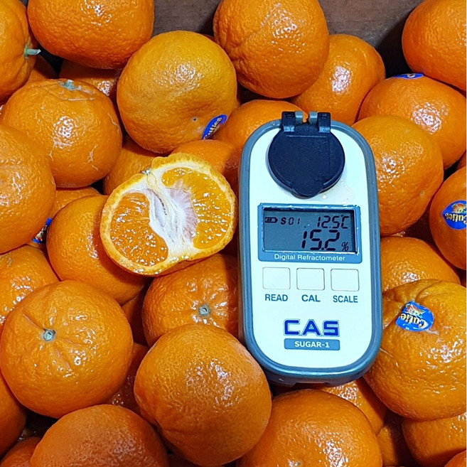 15brix 재구매율1위 캘리포니아 만다린 귤, 1박스, 3kg