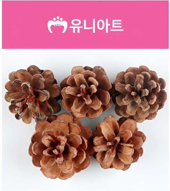 유니아트 2000 천연솔방울 중 5p, 1개