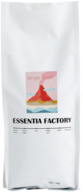 에센티아팩토리 코스타리카 따라주 1kg 원두 커피, 홀빈(분쇄안함), 1개