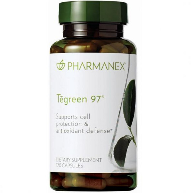 다 다도 녹차 차 테그린 97 120캡슐