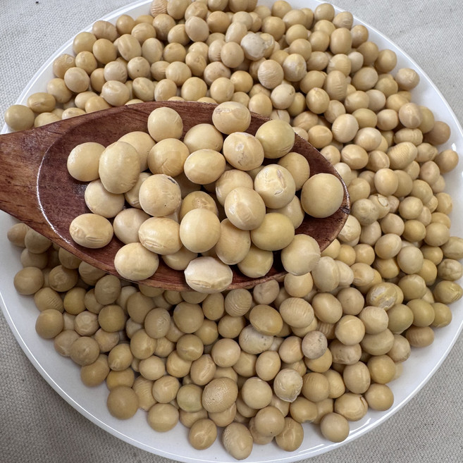 영원농산 25년산 국산 백태 대두 메주콩 콩국수 두부콩, 1개, 1kg