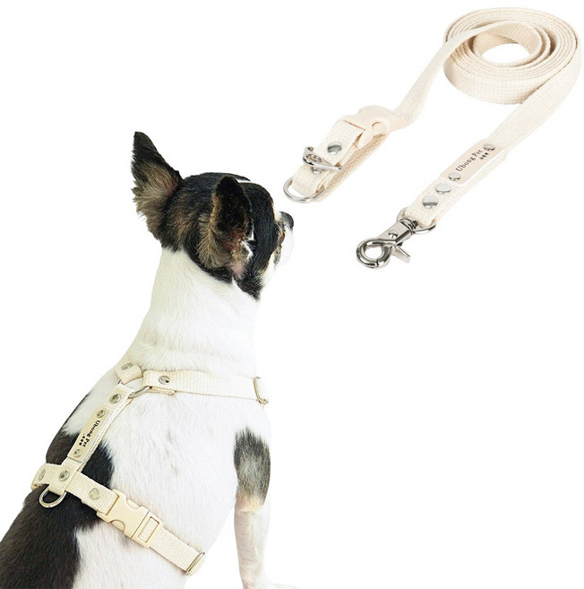 [패키지할인] [하네스 무료이름각인] 앞섬방지 강아지 하네스 H형 가슴줄 + 핸즈프리 리드줄 세트, 아이보리, M, 15mm 2.5M