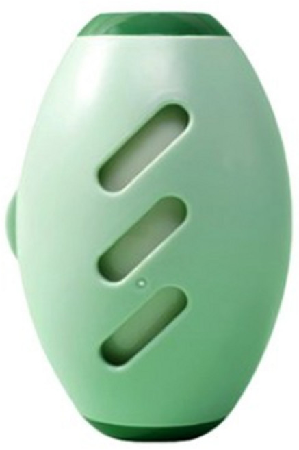 더바른 반영구 돌돌이 미니 휴대용 털제거기 강아지 고양이 털 제거기, 1개, 녹색