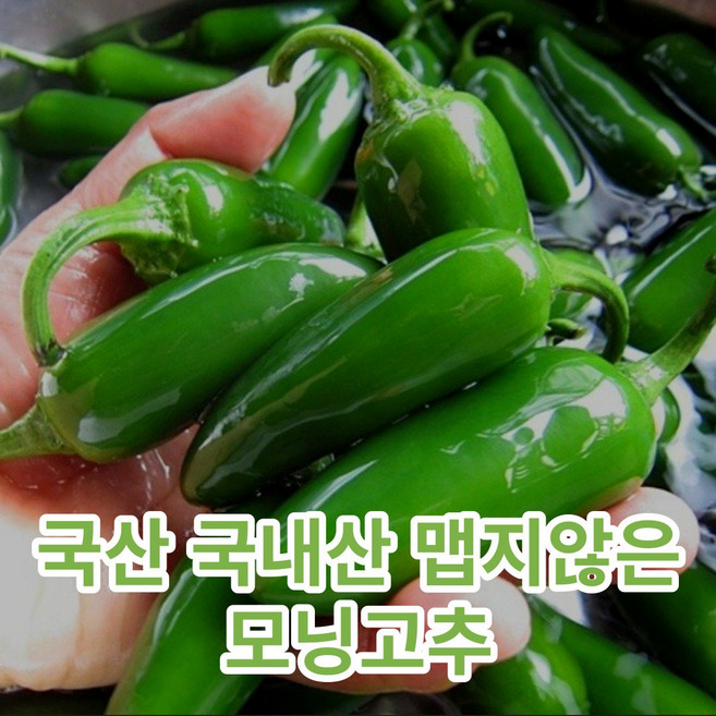 국내산 국산 모닝 고추 특품 맵지않은 아삭이 오이맛 미니 안매운 고추 제철 음식 프리미엄 특산품 농산물, 1kg, 1개