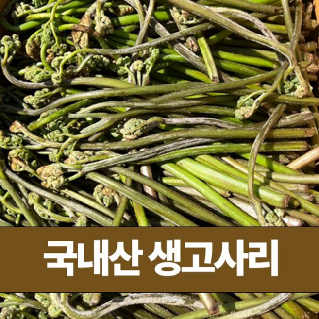 [제철특가] 국내산 야생 햇고사리 생고사리, 1박스, 4kg