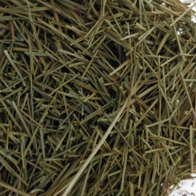 상쾌한 자연의 향 신선하고 건강한 국내산 말린 건조 참 송엽 솔나무 잎, 1세트, 600g