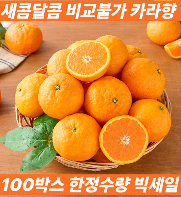 [유통마진제로] 오늘수확 레드향 다음 국내산 제주 카라향 산지직송, 1박스, 3kg