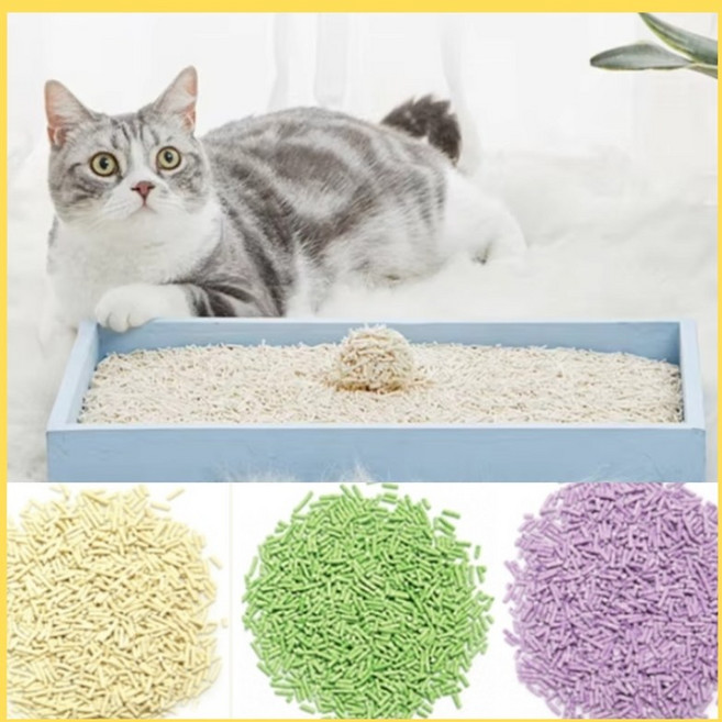 펫츠 두부모래 천연 콩비지 대용량 물에녹는 변기에버리는 향기나는 7Lx2, 오리지널, 2개, 14L