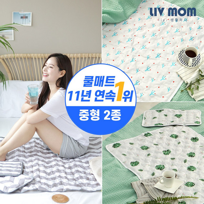 리브맘 쿨매트 중형 2종세트, 선인장, 02.선인장, 쿨매트+쿨베개 세트